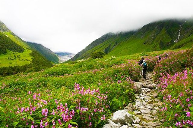 With Valley of Flowers